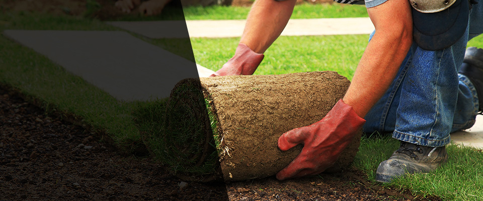 Autryville Landscapers